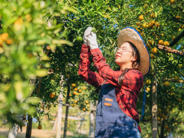 What the Numbers Mean for Farms